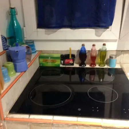 The Crab Is In Apartament *